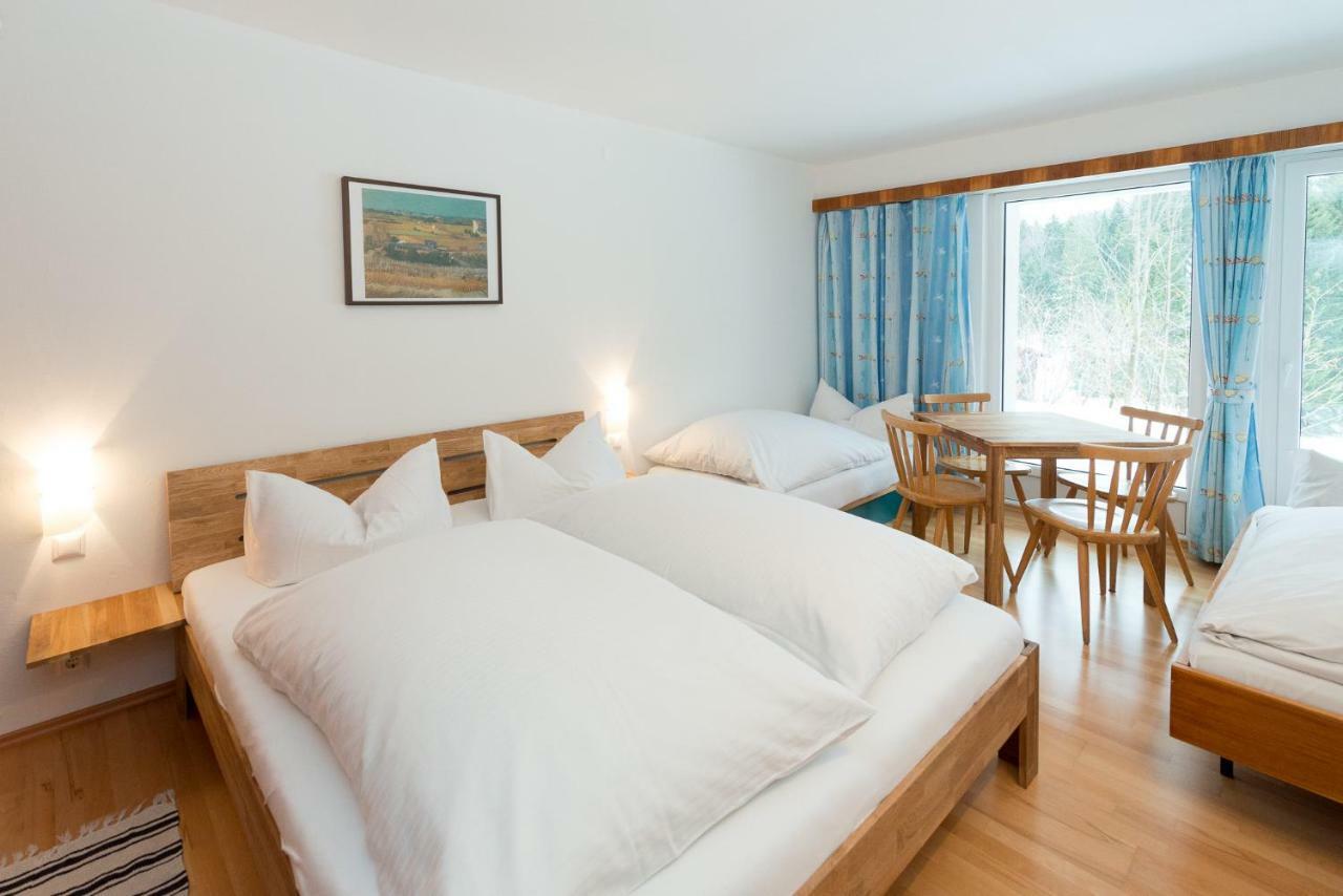 Apartament Birkenhof - Schimek Bürserberg Zewnętrze zdjęcie