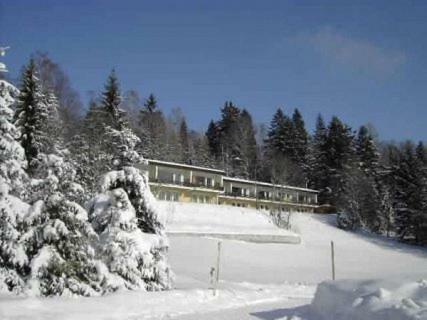 Apartament Birkenhof - Schimek Bürserberg Zewnętrze zdjęcie